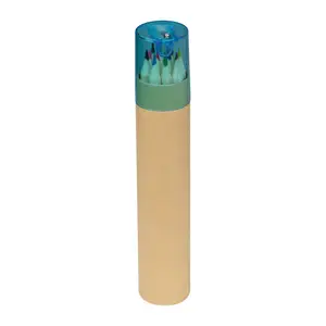 12 coloured pencils in a tube