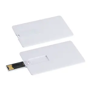 8GB USB Card