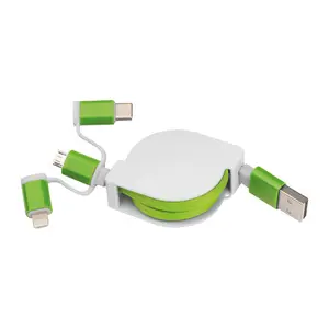 Extendable charging cable with 3 plugs