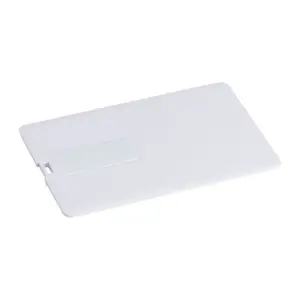 4GB USB Card