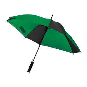 Automatic umbrella