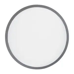 Foldable frisbee with a polyester case